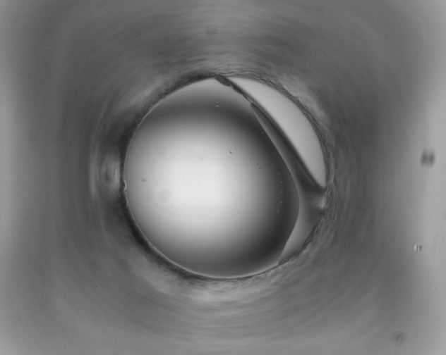 X0000092020021200709061602