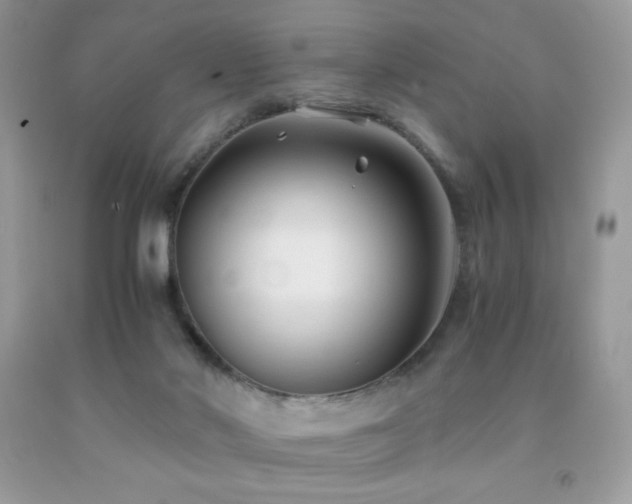 X0000092020022200709061602