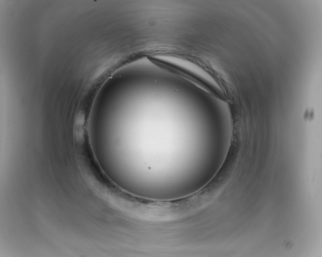 X0000092020024200709061602