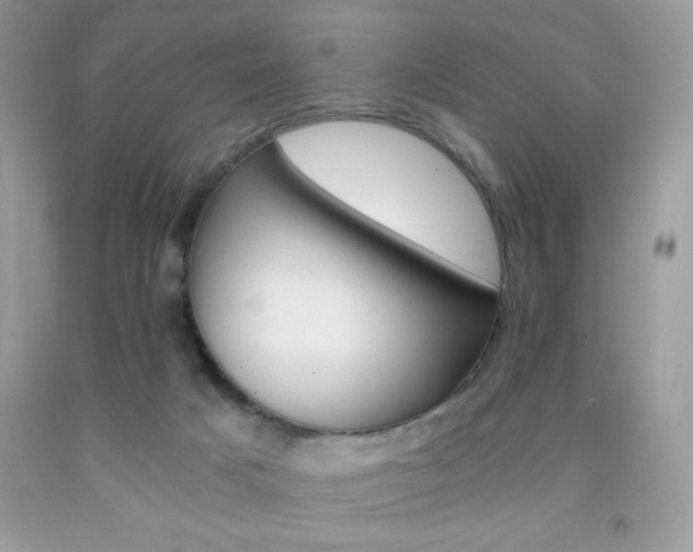 X0000092020025200709061602