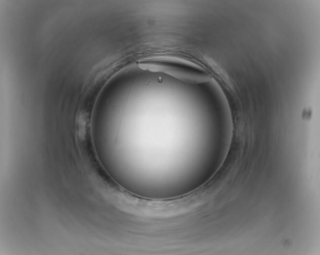 X0000092020026200709061602