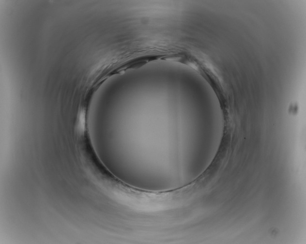 X0000092020027200709061602