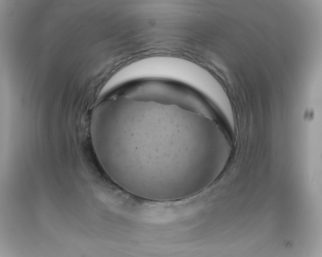X0000092020029200709061602