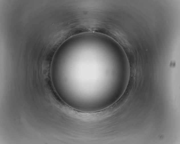 X0000092020030200709061602