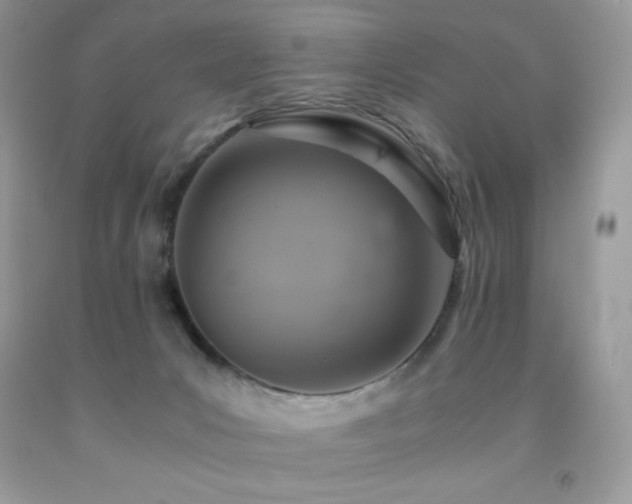 X0000092020031200709061602