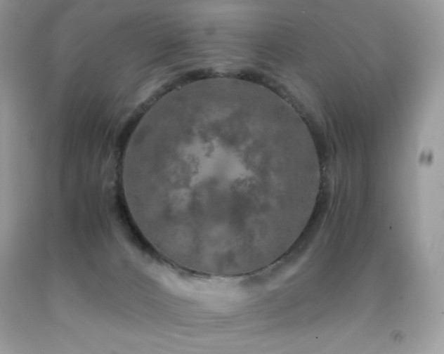 X0000092020032200709061602