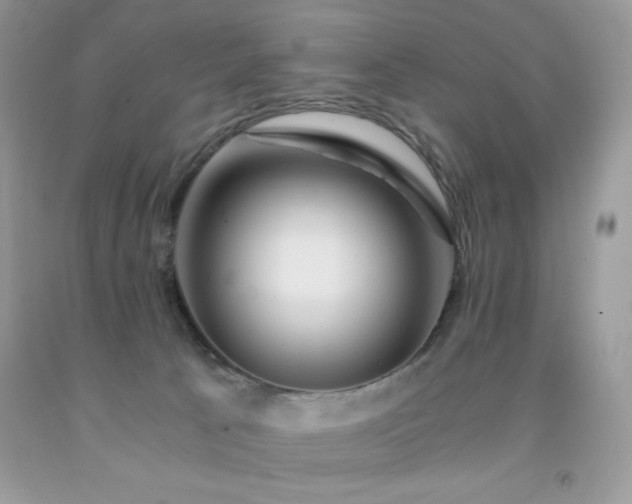 X0000092020033200709061602
