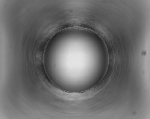 X0000092020034200709061602