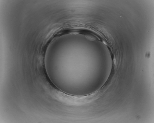 X0000092020035200709061602