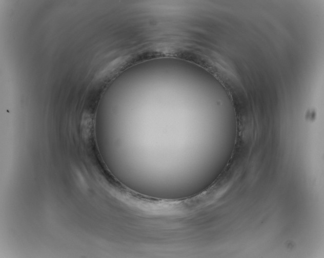 X0000092020036200709061602