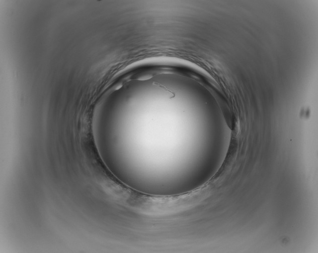 X0000092020037200709061602