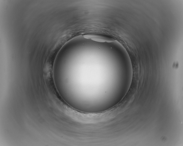 X0000092020038200709061602