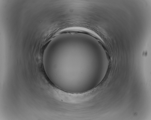 X0000092020039200709061602