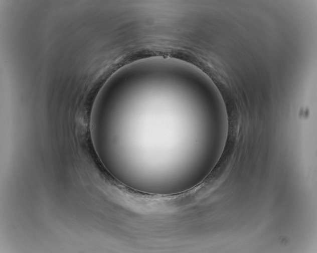 X0000092020040200709061602
