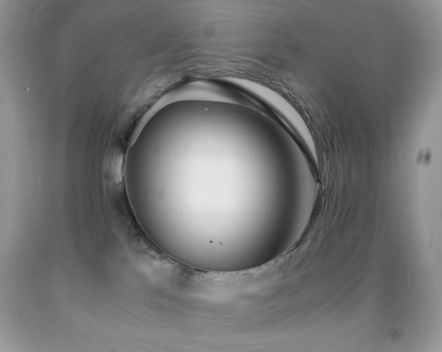 X0000092020041200709061602
