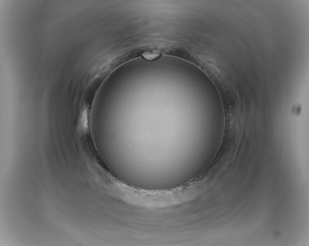 X0000092020042200709061602