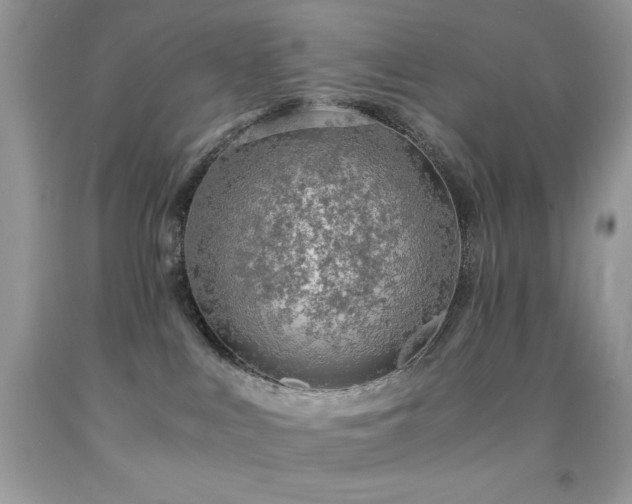 X0000092020043200709061602