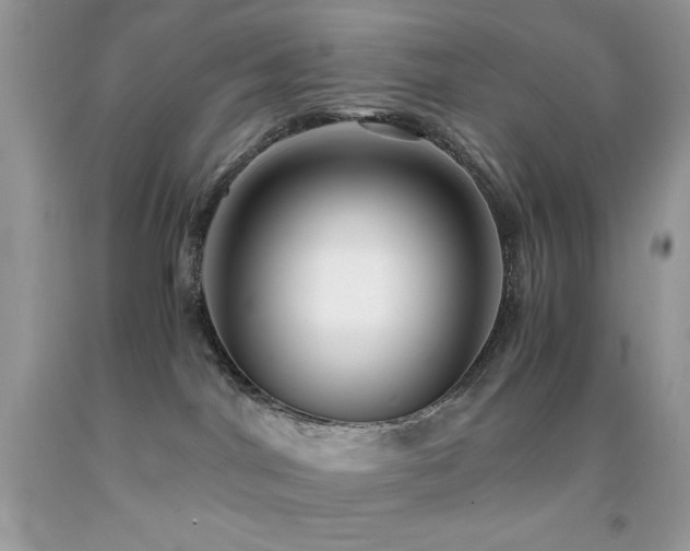 X0000092020044200709061602