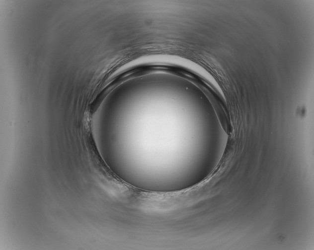 X0000092020045200709061602