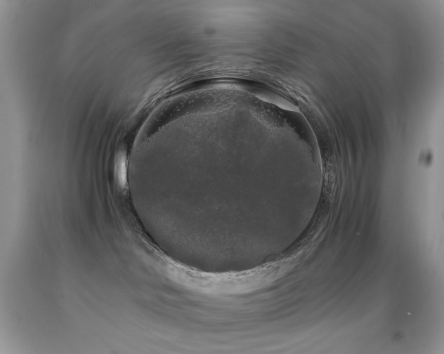 X0000092020046200709061602