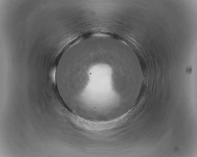 X0000092020047200709061602