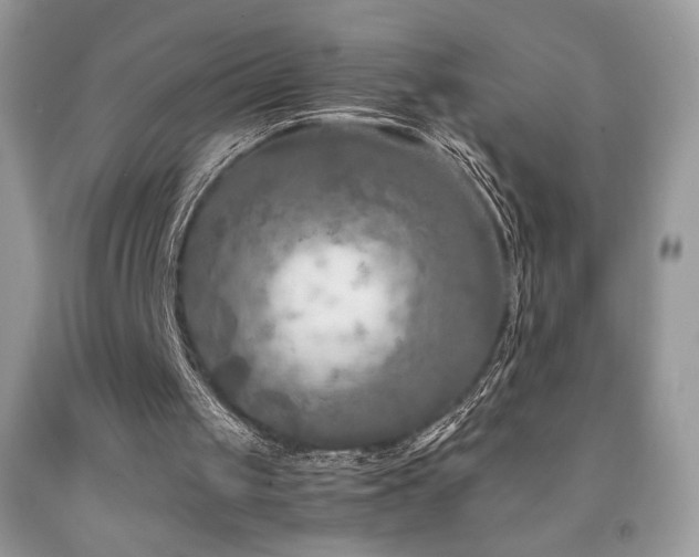 X0000092020049200709061601
