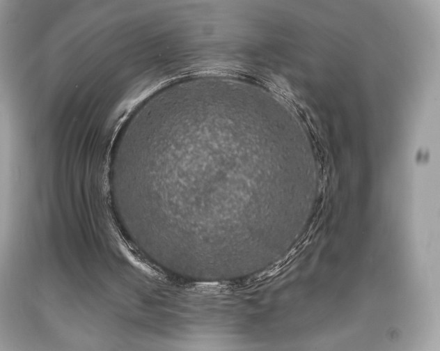 X0000092020050200709061602
