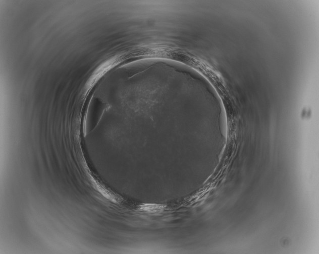 X0000092020051200709061602