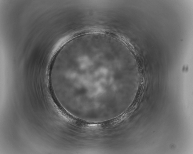 X0000092020053200709061602