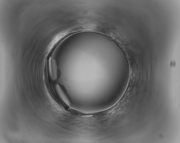 X0000092020054200709061602
