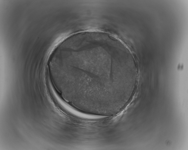 X0000092020055200709061602