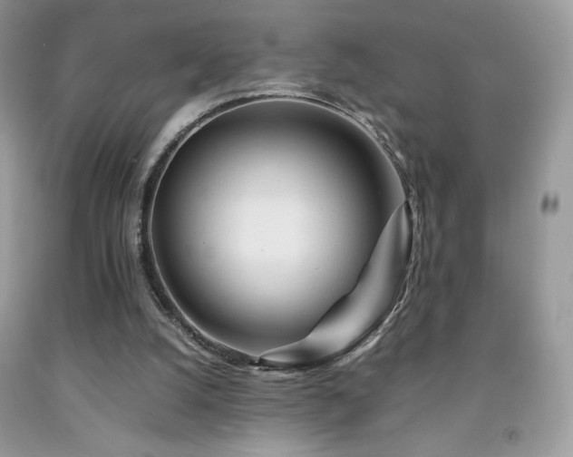 X0000092020056200709061602