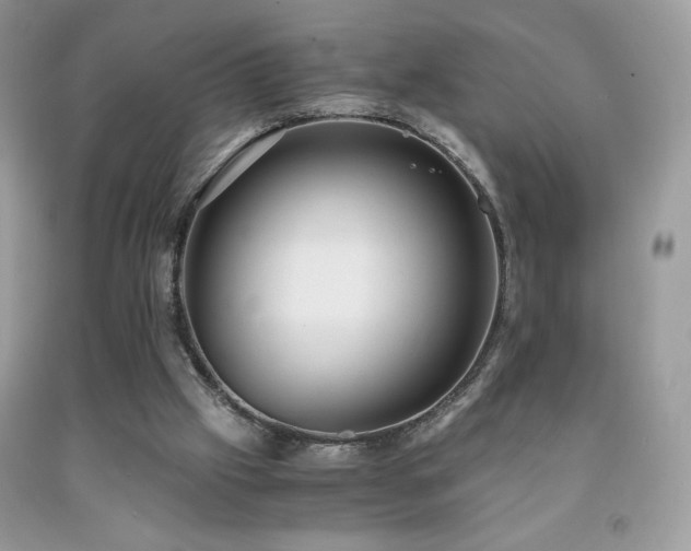 X0000092020057200709061602