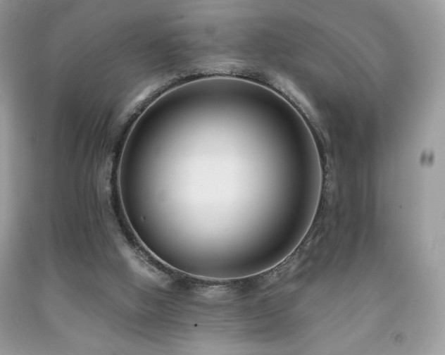 X0000092020058200709061602