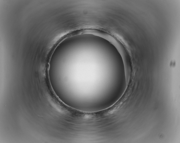 X0000092020060200709061602