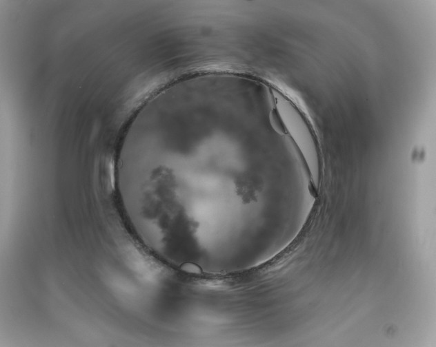 X0000092020061200709061602