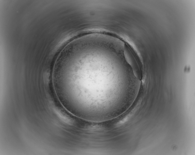 X0000092020063200709061602