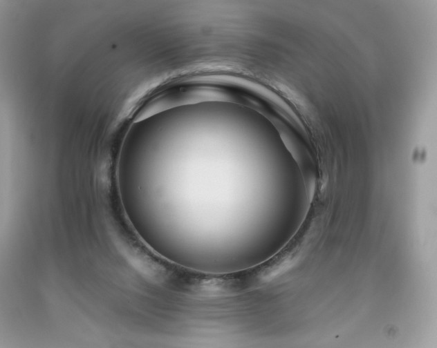 X0000092020064200709061602