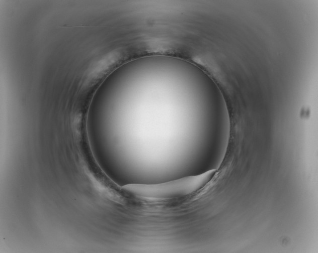 X0000092020066200709061602
