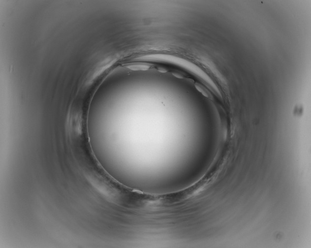 X0000092020068200709061602
