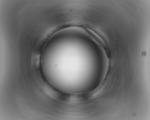 X0000092020070200709061602