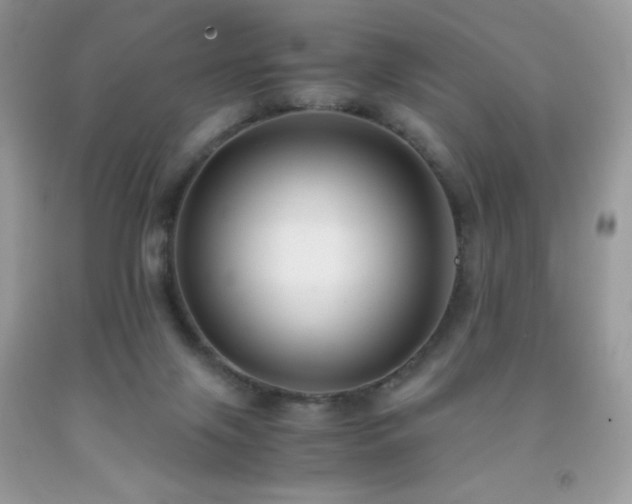 X0000092020071200709061602