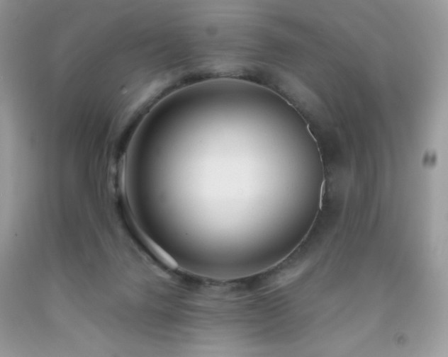 X0000092020072200709061602