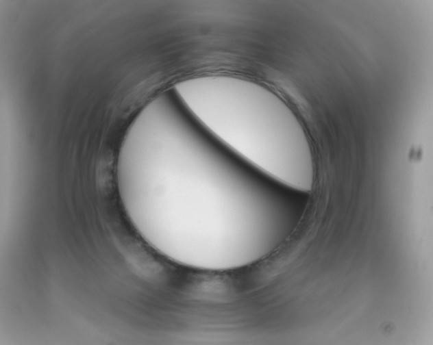 X0000092020073200709061602