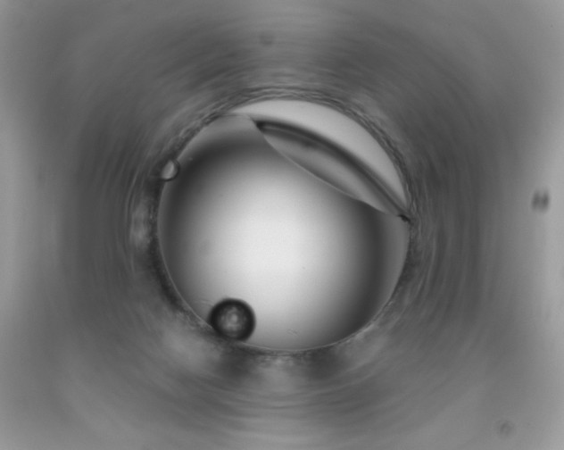 X0000092020074200709061602