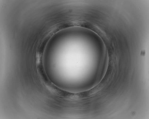 X0000092020075200709061602