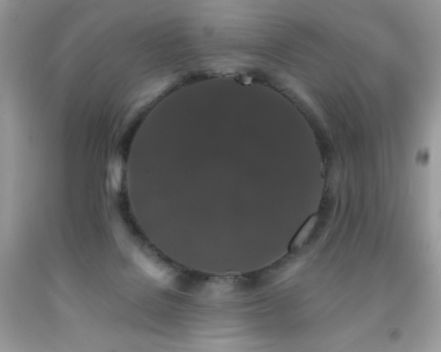 X0000092020076200709061602