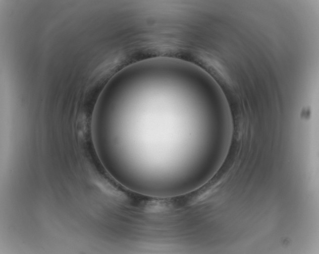 X0000092020077200709061602