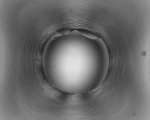 X0000092020078200709061602