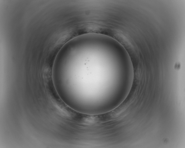 X0000092020079200709061602